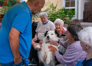 Psí návštěva v Ludmile